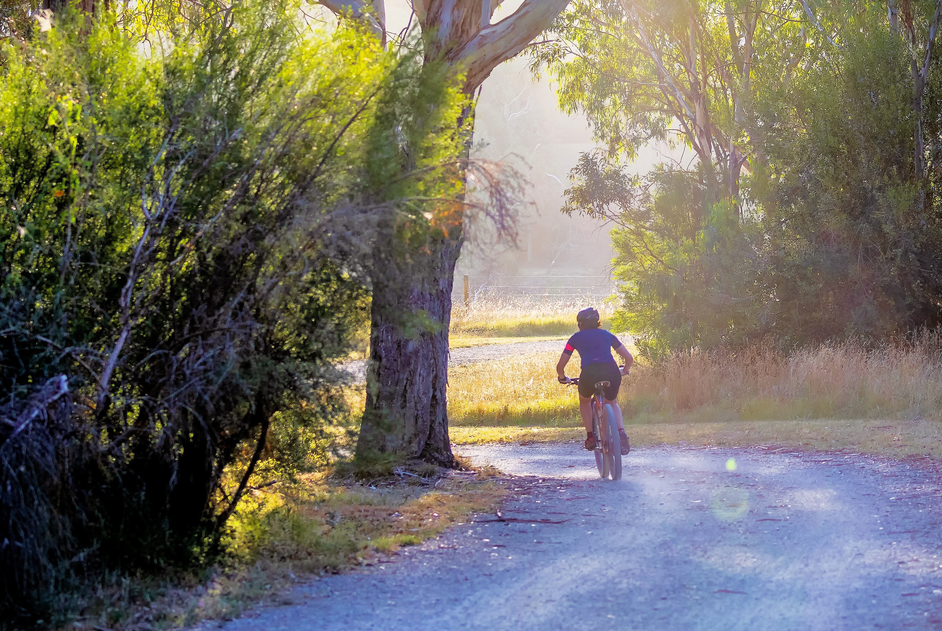 Biking on trails